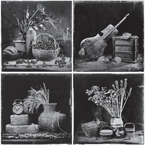 光影繪新篇——江蘇省“文藝兩新”創(chuàng)作成果展攝影作品述評(píng)